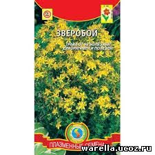 Зверобой от чего
