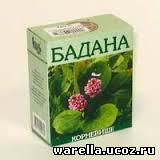 Бадан от чего